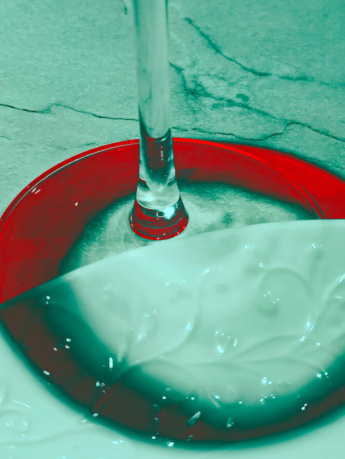 Фотография Недежды Самохваловой